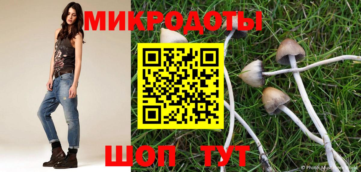 Галлюциногенные грибы Psilocybine cubensis  где найти   Галлюциногенные грибы Magic Shrooms  Чита  Вход с VPN 