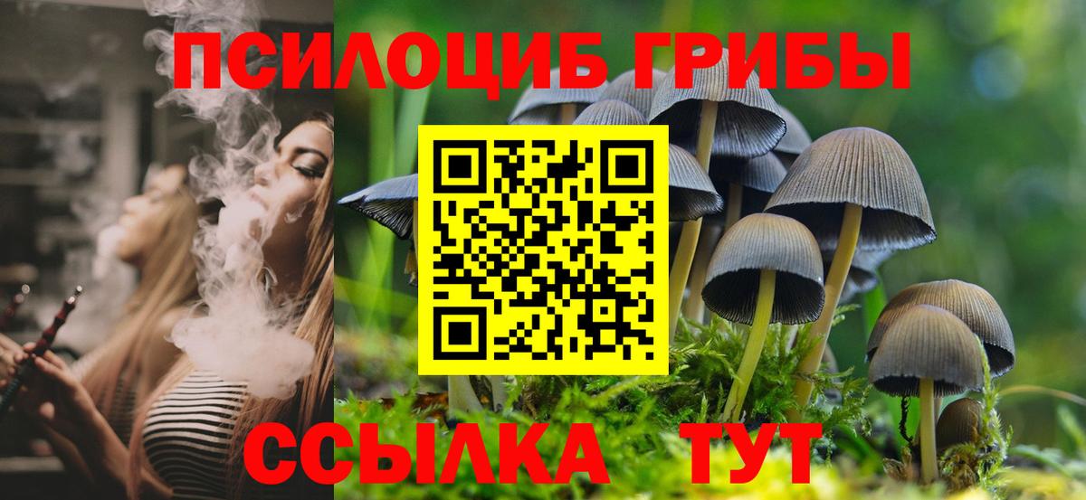 Псилоцибиновые грибы Cubensis Чита